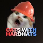 CatsWithHardHats catswithhardhats