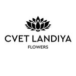 Цветы Воронеж Букеты Доставка cvet_landiya