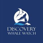 Discovery Whale Watch discoverywhalewatch