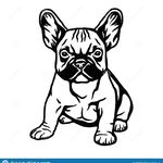 Frenchieworld frenchie_world_9