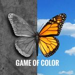 Game of Color gameofcolor22