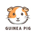 Guinea Pig🐹 guineapigs.hub