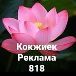 Кокжиек_OLX8 Алматы kokzhiek_olx8