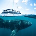 Ningaloo Discovery ningaloodiscovery