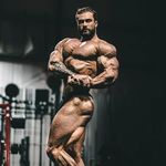 All About Bodybuilding! themusclefitnesss