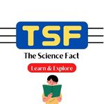 The Science Fact thesciencefact_com