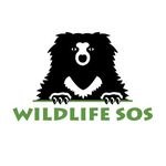 Wildlife SOS wildlifesos